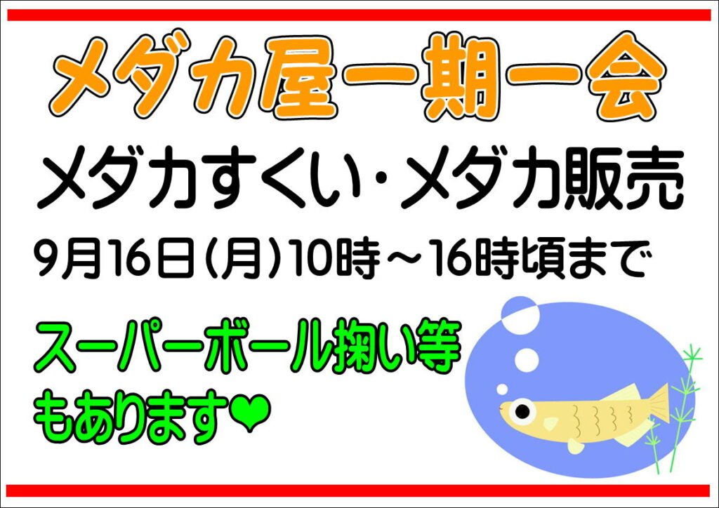 9/16(月)メダカ屋一期一会出店！